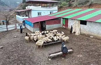 Depremzede besici devlet desteğiyle hayata tutundu