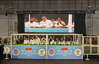 Gaziantep'te '29. Türkiye Filo Güvercin Güzellik Festivali' düzenlendi