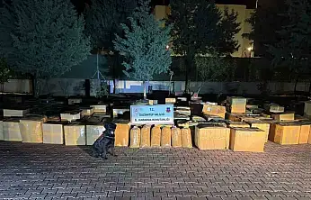 Gaziantep'te 7 ton kaçak tütün ele geçirildi: 1 gözaltı