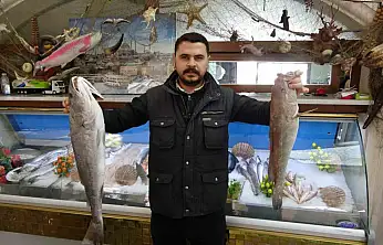 Gaziantep'te balık, kebabın tahtını sallıyor