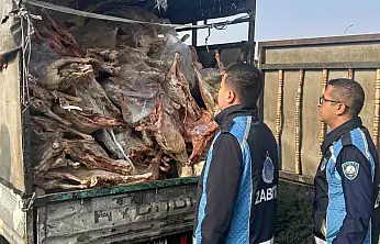 Gaziantep'te kamyonet kasasında kilolarca bozuk et ele geçirildi