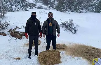 Gaziantep'te karlı havada aç kalan yaban hayvanları için doğaya yem bırakıldı