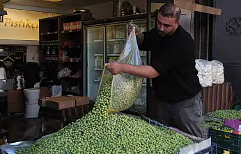 Gaziantep'te yeşil zeytin fiyatları sabit kaldı
