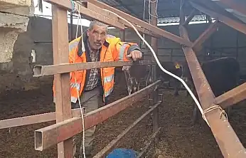 Gaziantep'te yoğun kar yağışı sonrası ahırın çatısı çöktü