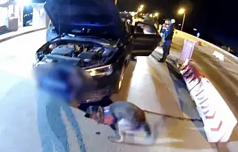 İstanbul'dan Gaziantep'e uyuşturucu sevkiyatına jandarma darbesi: 3 şahıs tutuklandı