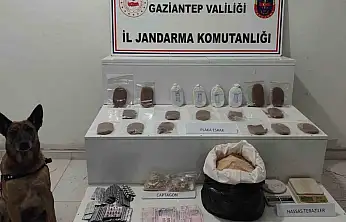 Jandarmanın uyuşturucu ve kaçakçılık operasyonlarında 10 şahıs tutuklandı