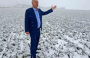 Kar yağışı sarımsak üreticisinin yüzünü güldürecek