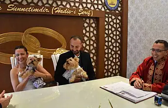 Köpekleriyle birlikte mutluluğa 'evet' dediler