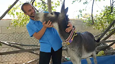Annesi ölen eşeğe gözü gibi bakıyor
