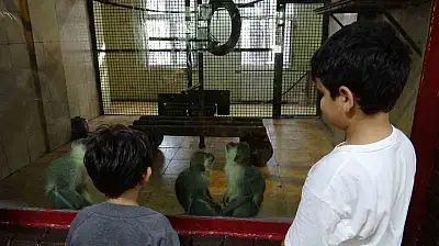 Ara tatile çıkan öğrenciler soluğu hayvanat bahçesinde aldı