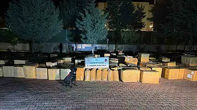 Gaziantep'te 7 ton kaçak tütün ele geçirildi: 1 gözaltı