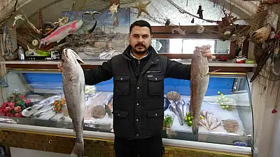 Gaziantep'te balık, kebabın tahtını sallıyor