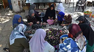 Gaziantep'te kadınların imece usulü kurutmalık telaşı