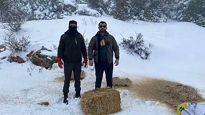 Gaziantep'te karlı havada aç kalan yaban hayvanları için doğaya yem bırakıldı