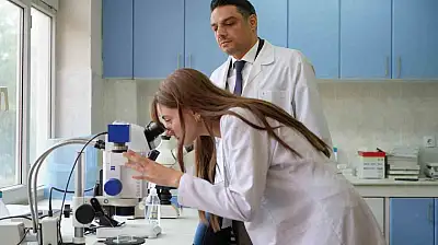 Kuraklığın ardından sinek istilası başladı