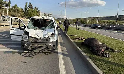 Gaziantep'te yola fırlayan ata sivil polis otosu çarptı: 2 polis yaralandı