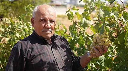 Fıstık şehrine kurduğu üzüm bağı üreticilere örnek oldu