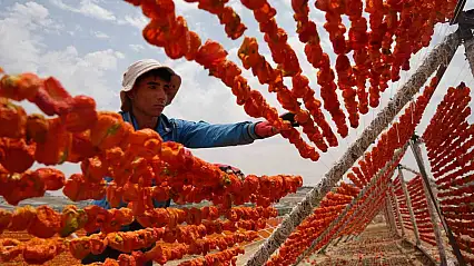 Gaziantep'te kurutmalık sezonu başladı