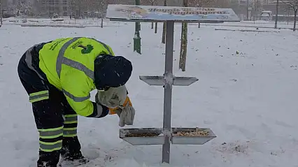 Şehitkamil sokak hayvanlarını unutmadı