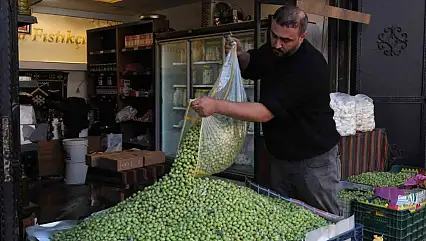 Gaziantep'te yeşil zeytin fiyatları sabit kaldı