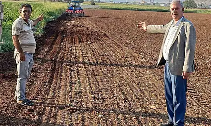 Araban Ovası'nda tecilli Araban sarımsağı ekimine başladı