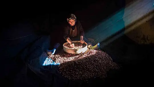 'Gaziantep'te Hasat Mevsimi' fotoğraf yarışması sonuçları açıklandı