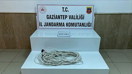 10 ayrı hırsızlık olayında 14 şüpheli şahıs suçüstü yakalandı