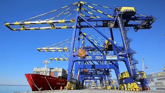 2020 yılı pandemiye rağmen rekorla geçti