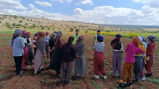 357 mevsimlik tarım işçisine jandarmadan eğitim