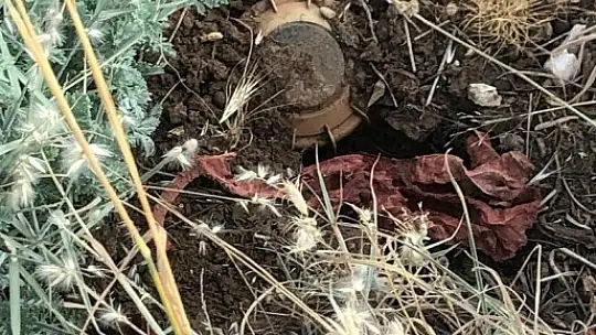 5 sivil vatandaşı şehit eden terörist, Yıldırım-1 Cudi Dağı Operasyonuyla etkisiz hale getirildi