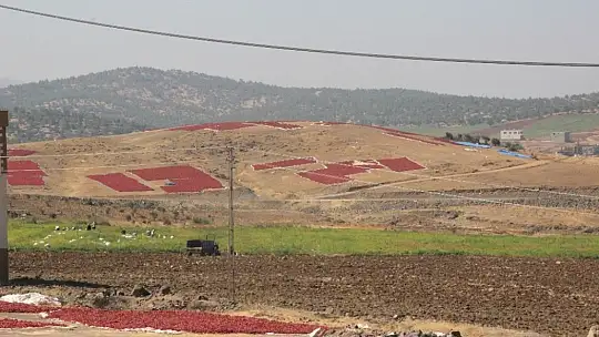 Acıdan para kazanıyorlar