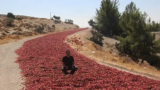 Acıdan para kazanıyorlar