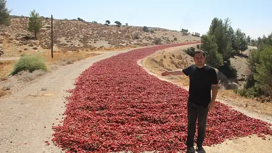 Acıdan para kazanıyorlar