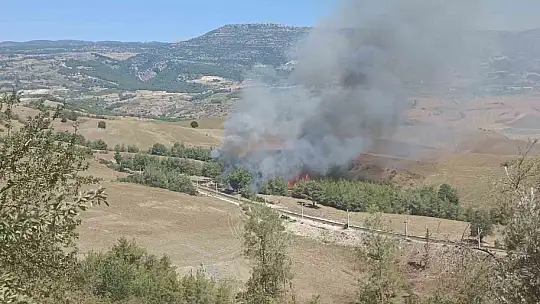 Adana'da orman yangını çıktı