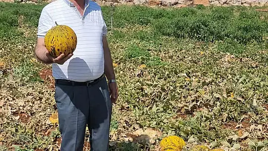 Altun: 'Tarlada bedava, rafta ateş pahası'
