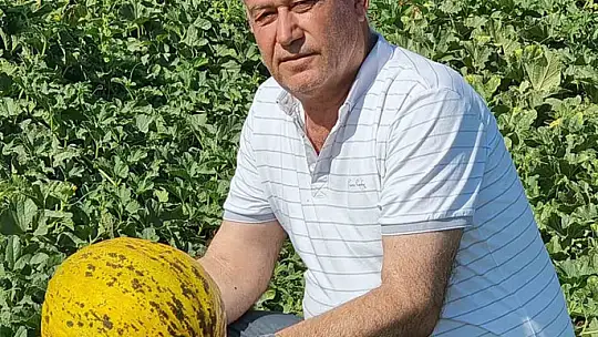 Altun: 'Tarlada bedava, rafta ateş pahası'