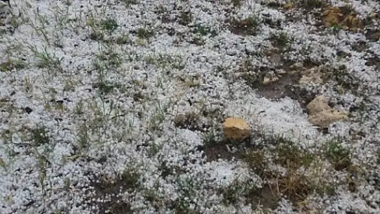 Amasya'da ceviz büyüklüğündeki dolu, tarım alanlarını vurdu