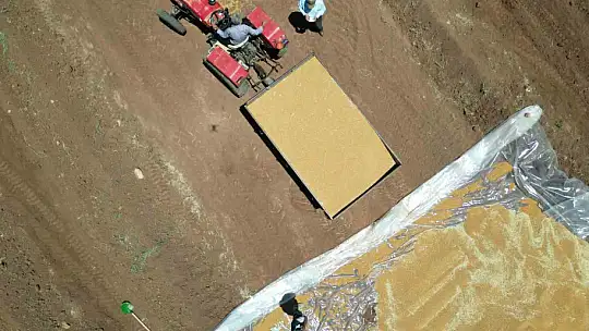 Ambarlar doldu, silolarda yer kalmayınca buğdaylar eski usülle saklanmaya başlandı
