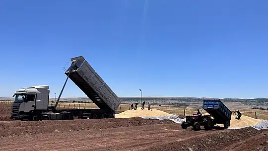 Ambarlar doldu, silolarda yer kalmayınca buğdaylar eski usülle saklanmaya başlandı