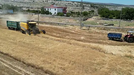 Ambarlar doldu, silolarda yer kalmayınca buğdaylar eski usülle saklanmaya başlandı