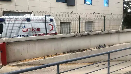 ANKA Hastanesinden 4 Ekim'de anlamlı etkinlik