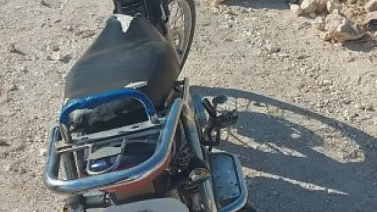 Antep fıstığı hırsızları tutuklandı
