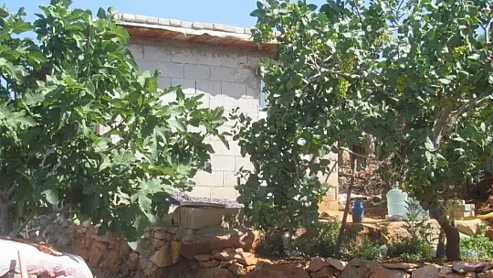 Antep fıstığı üreticisi bağ evinde ölü bulundu