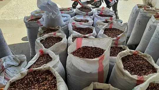 Antep fıstığında fiyatlar düşüyor