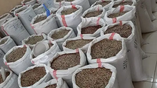 Antep fıstığında fiyatlar düşüyor