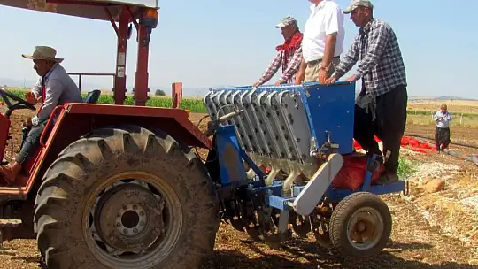 Araban'da sarımsak dikimi başladı