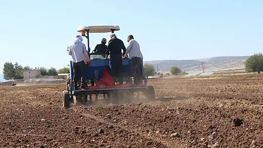 Araban'da sarımsak ekimi sürüyor