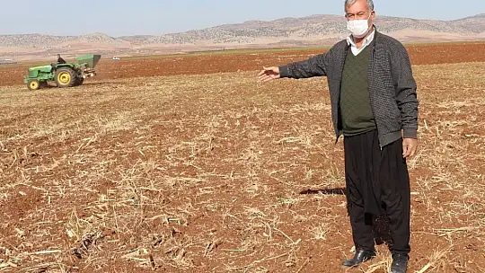 Araban ovasında makarnalık sert buğday ekimine başlandı