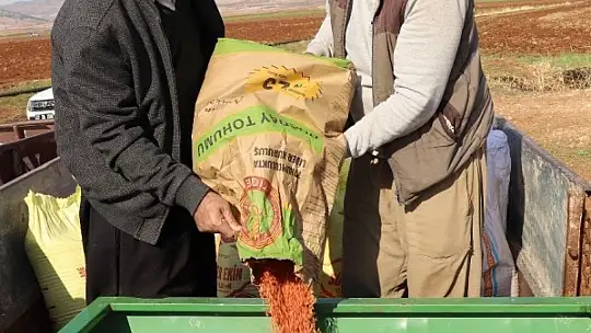 Araban ovasında makarnalık sert buğday ekimine başlandı