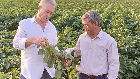 Arabanlı çiftçiler alternatif ürün olarak soya ekimine başladı